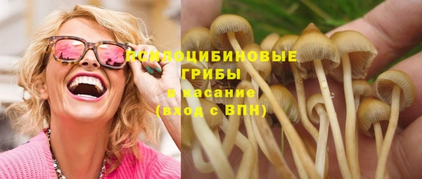 метадон Алексин