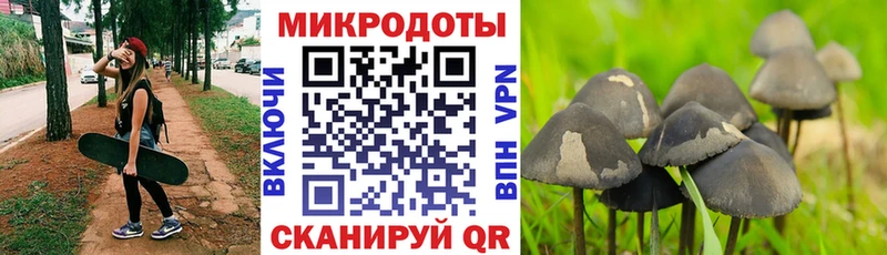 Галлюциногенные грибы MAGIC MUSHROOMS  нарко площадка как зайти  kraken сайт  Мантурово  купить наркотик 